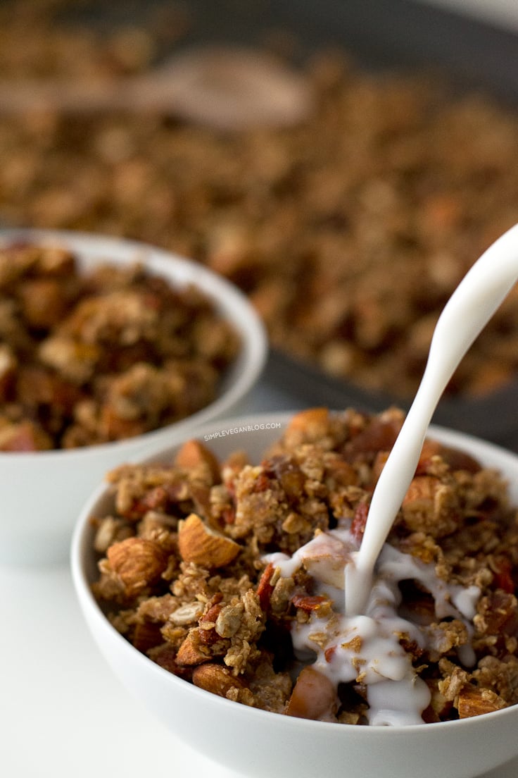 Oil Free Granola