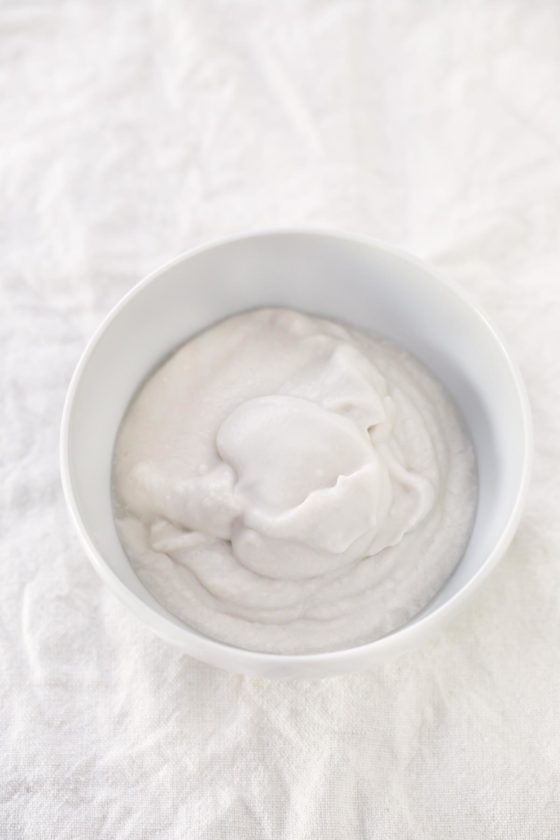2Ingredient Coconut Yogurt Simple Vegan Blog