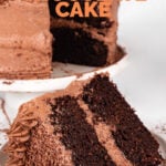 Photo of a slice of vegan chocolate cake with the words vegan chocolate cake