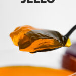 Photo of a spoonful of vegan jello with the words vegan jello