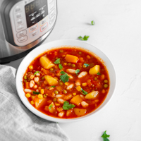 Square photo of a bowl of Instant Pot vegetable soup