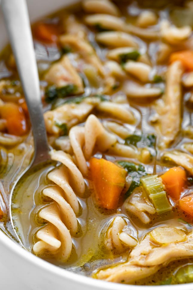 CLose-up photo of a bowl of vegan chicken noodle soup