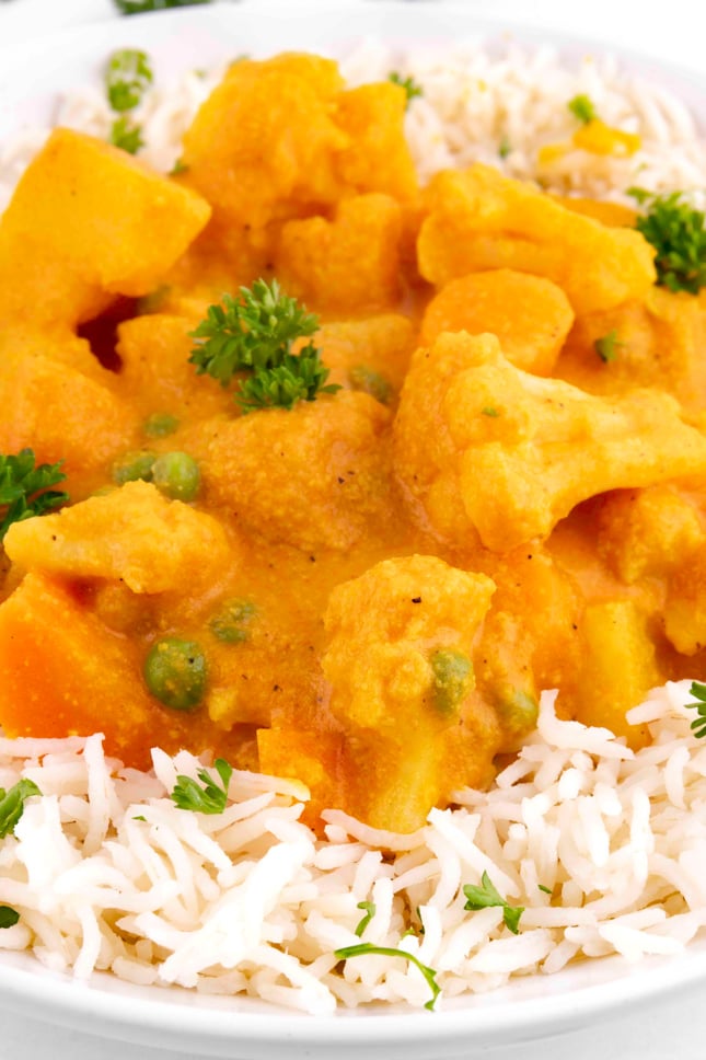 Close-up photo of a plate of vegetable korma