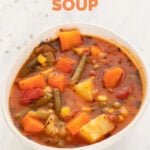 Photo of a bowl of vegan vegetable soup with a title