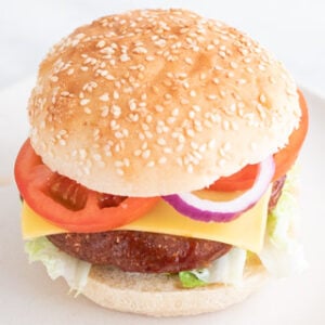 A square picture of a vegan burger on a white dish