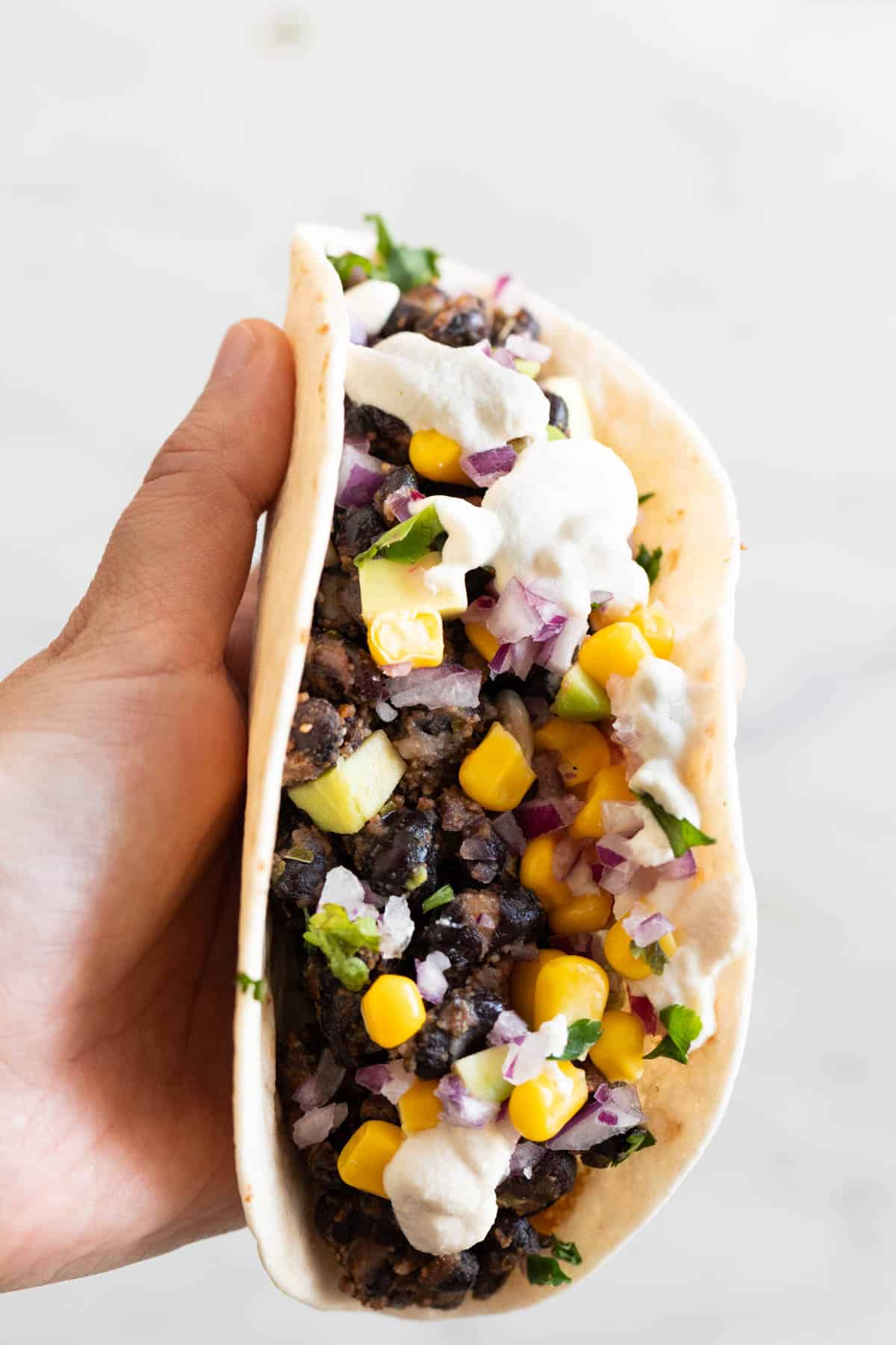 A hand holding a finished taco.