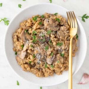 Vegan mushroom risotto plated with a golden fork.