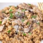 Vegan mushroom risotto with parsley and vegan parmesan cheese on a plate.