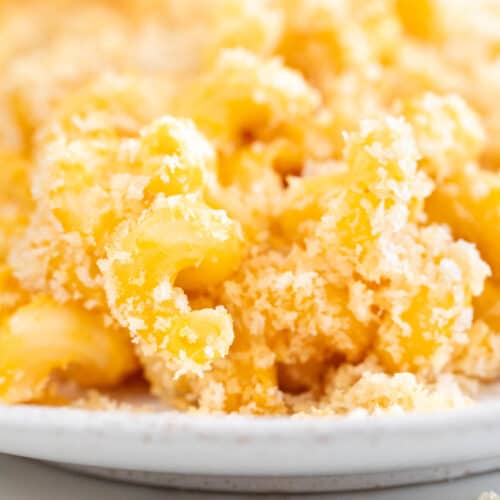 https://simpleveganblog.com/wp-content/uploads/2023/10/the-best-vegan-mac-and-cheese-500x500.jpg