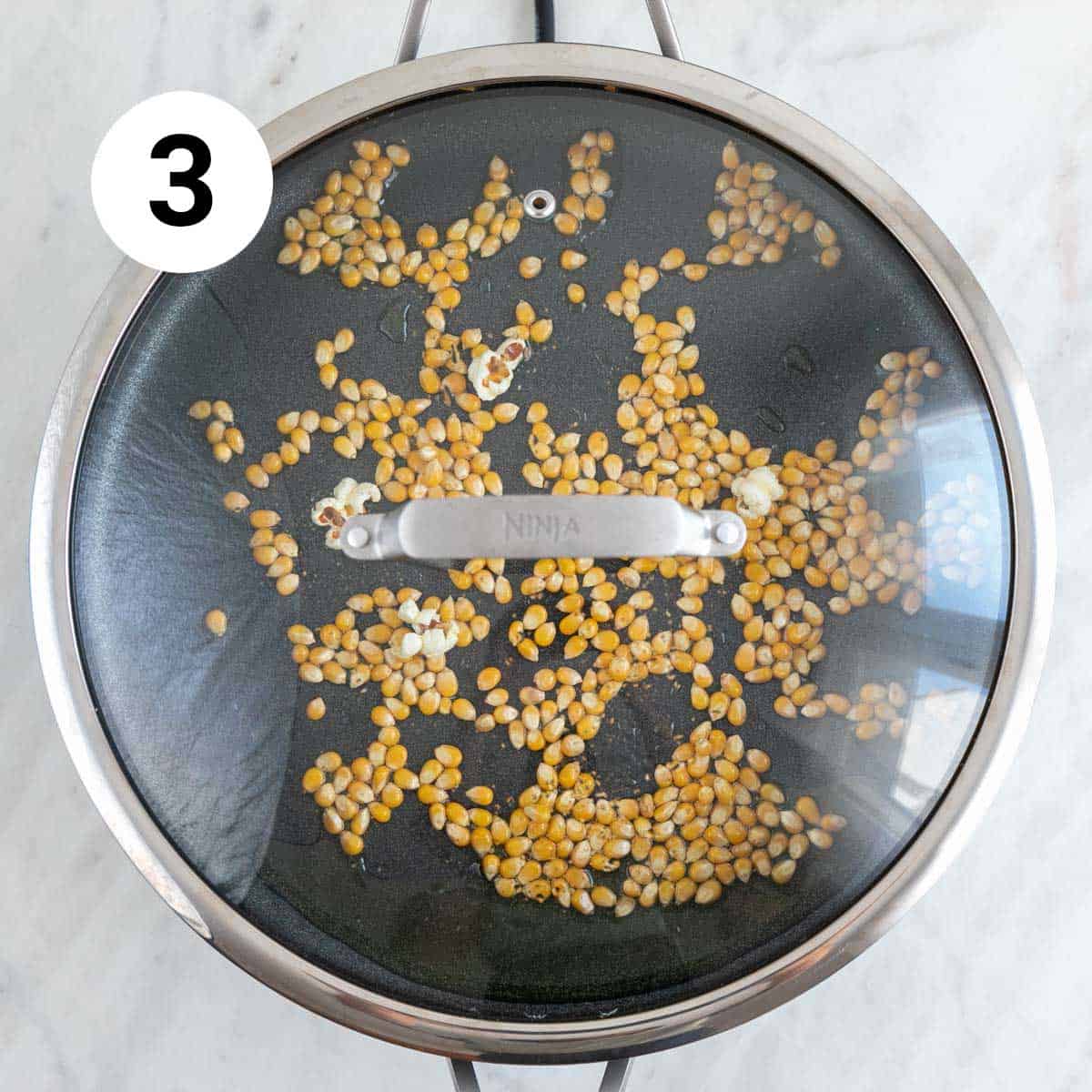 Popcorn kernels in a skillet with oil.