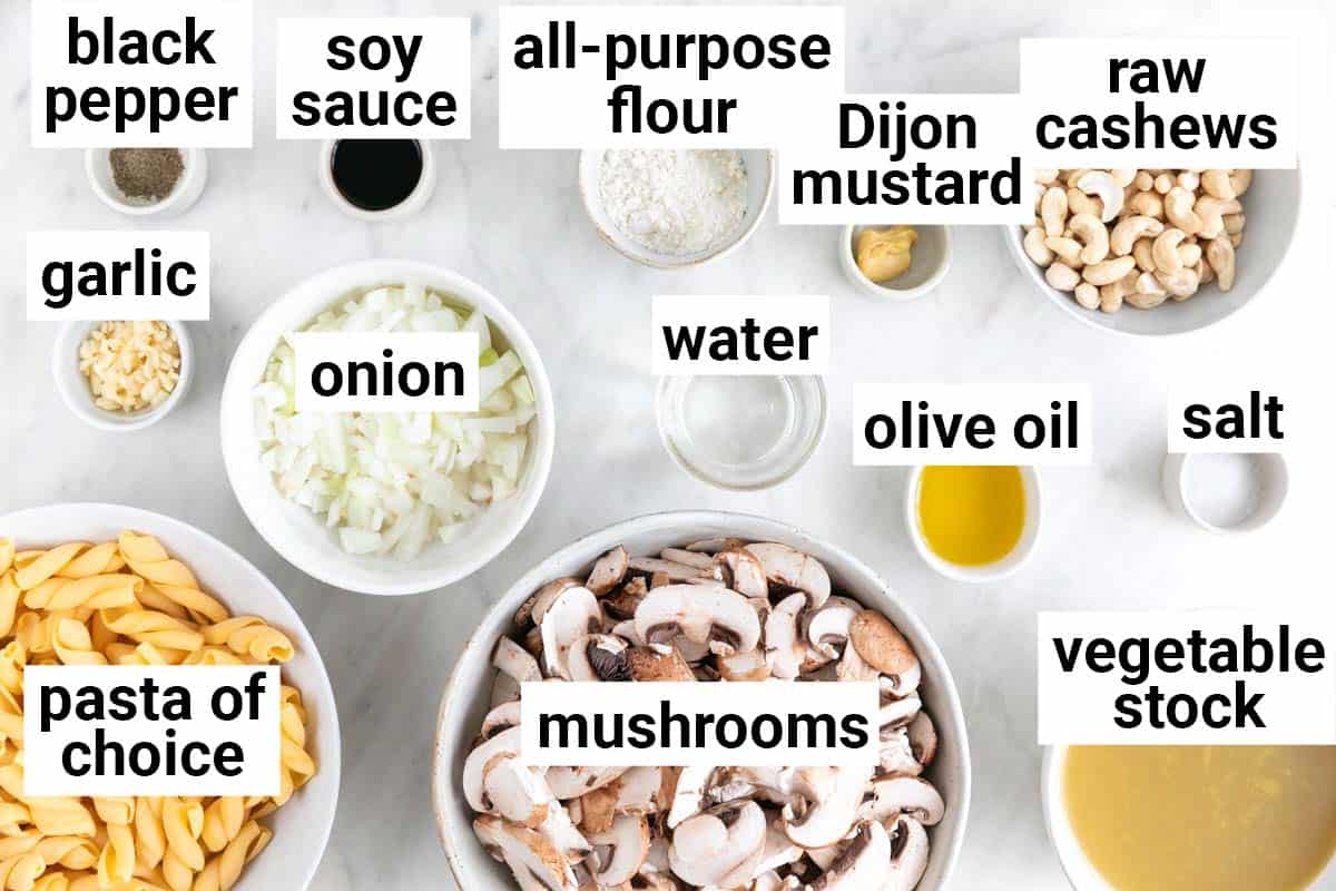 Ingredients needed to make vegan mushroom stroganoff.
