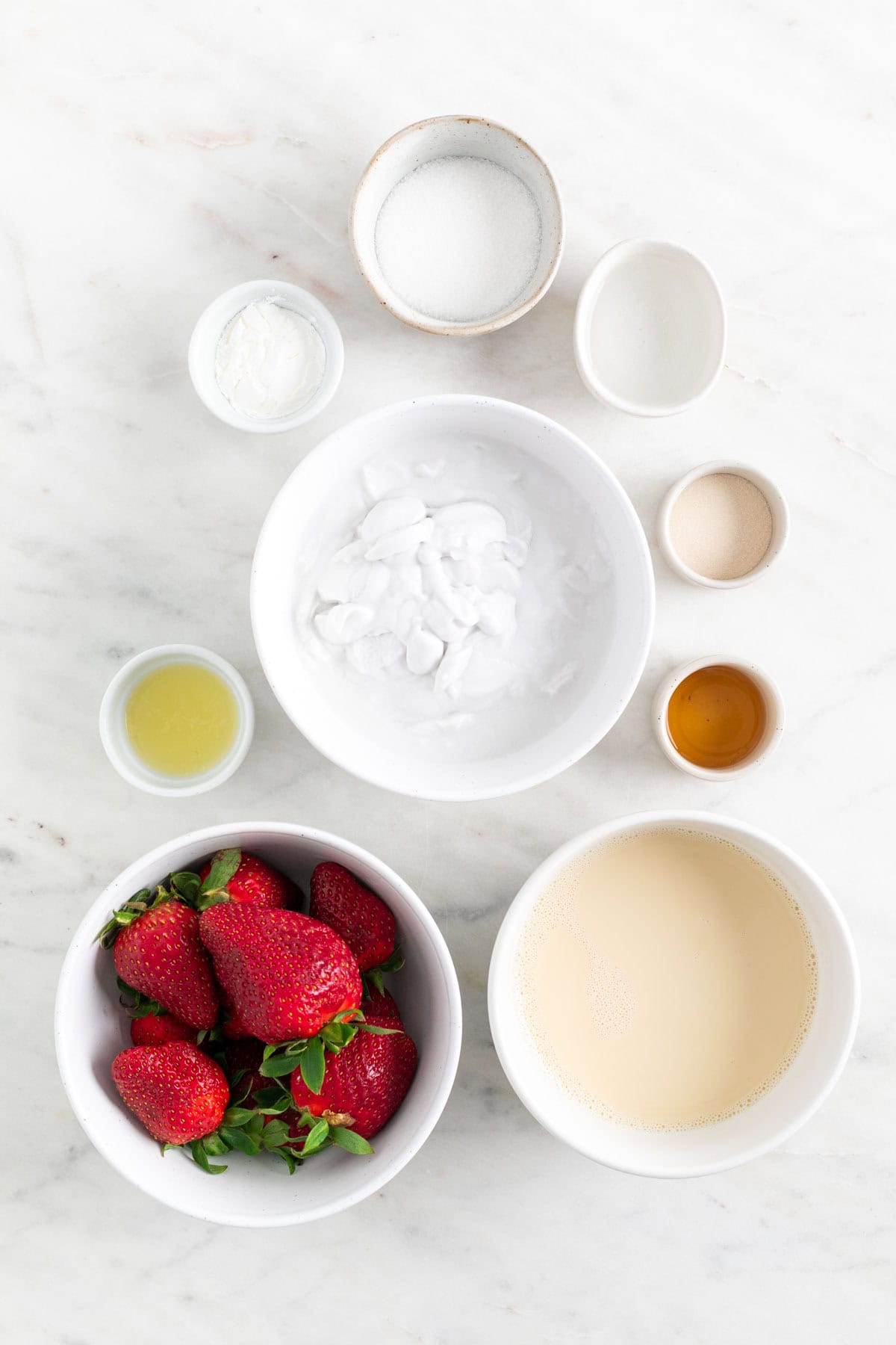Ingredients for making vegan panna cotta.