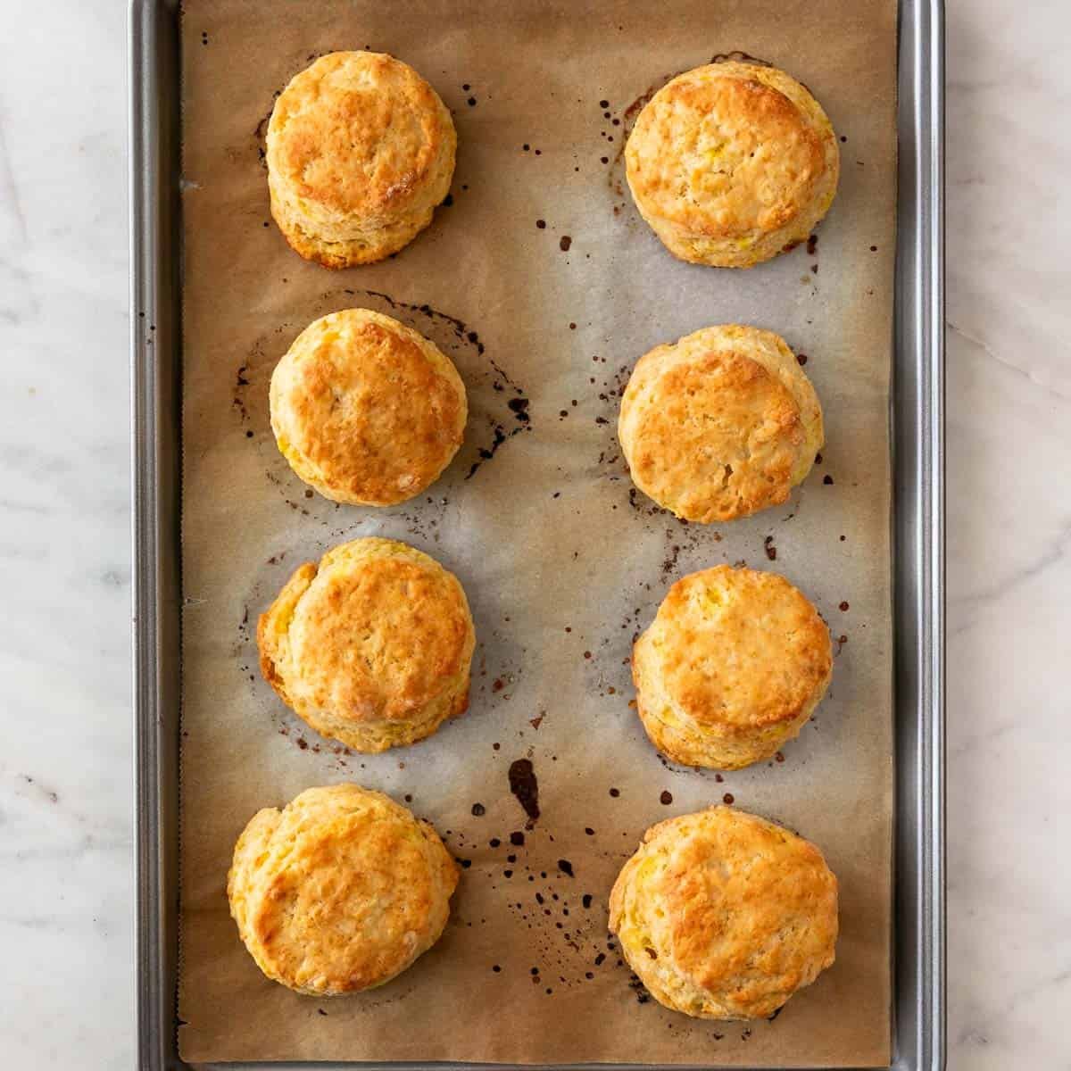 Freshly baked vegan biscuits, golden brown and ready to serve warm.