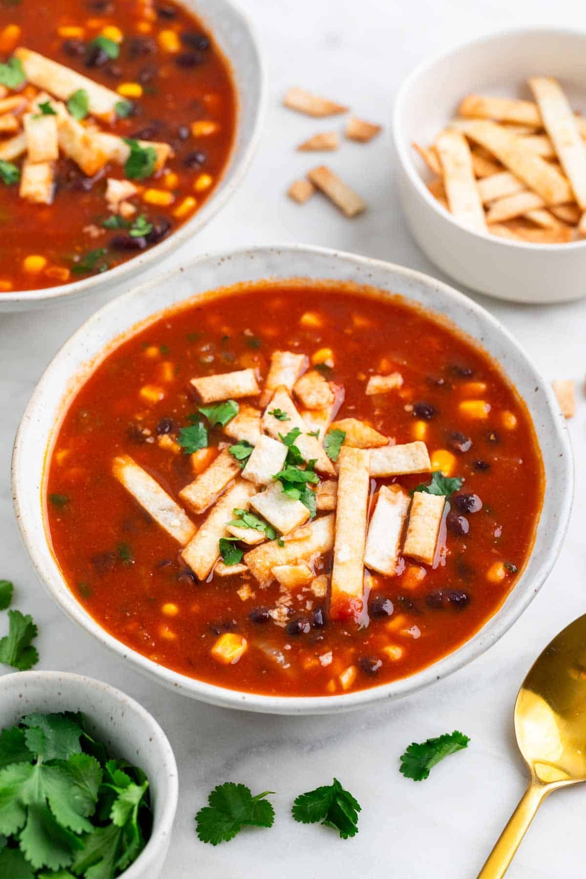 Vegan black bean tortilla soup with fresh toppings.