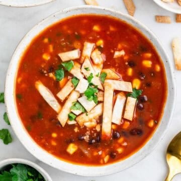 Bowl of vegan tortilla soup topped with crispy tortilla strips and fresh cilantro.