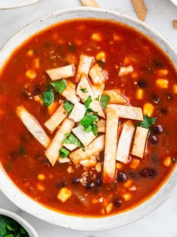 Bowl of vegan tortilla soup topped with crispy tortilla strips and fresh cilantro.