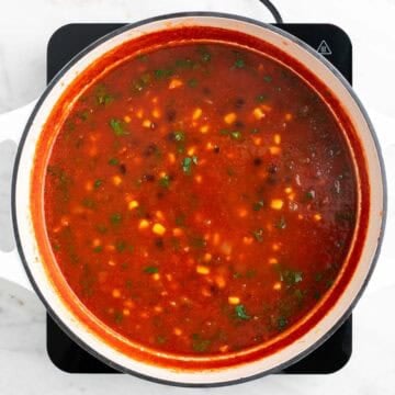 Vegan tortilla soup finished with fresh lime juice and chopped cilantro.