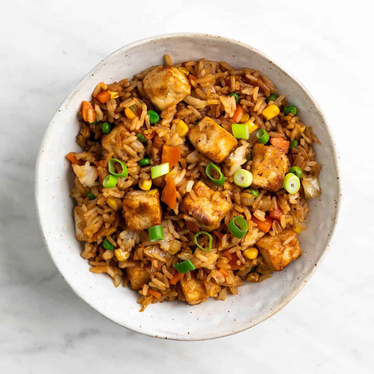 Tofu fried rice served with green onions.
