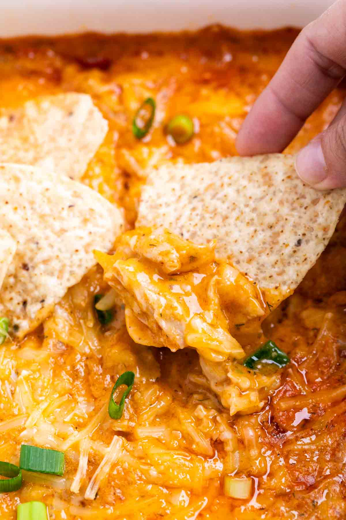 Scooping vegan buffalo chicken dip with a tortilla chip.