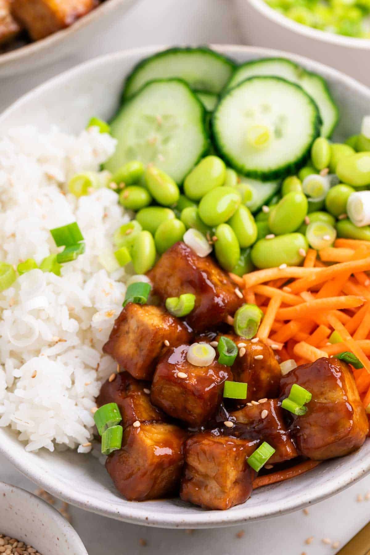 Two bowls of tofu rice with sesame seeds and chopped green onions