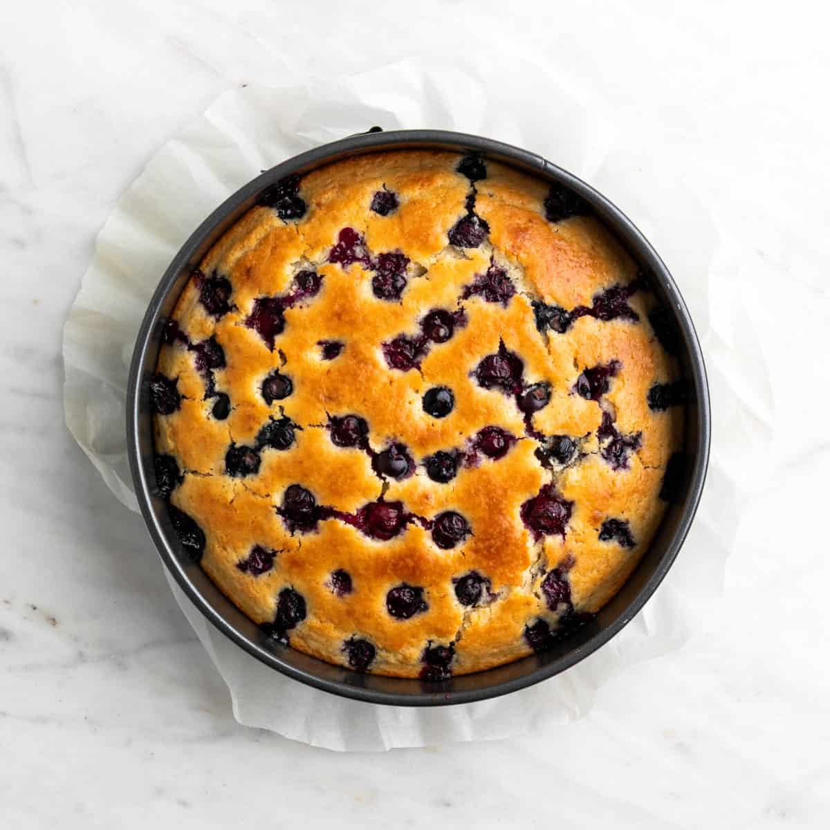 Vegan lemon blueberry cake baked in the pan