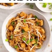 Tofu pad Thai served with peanuts, bean sprouts, and green onions on top