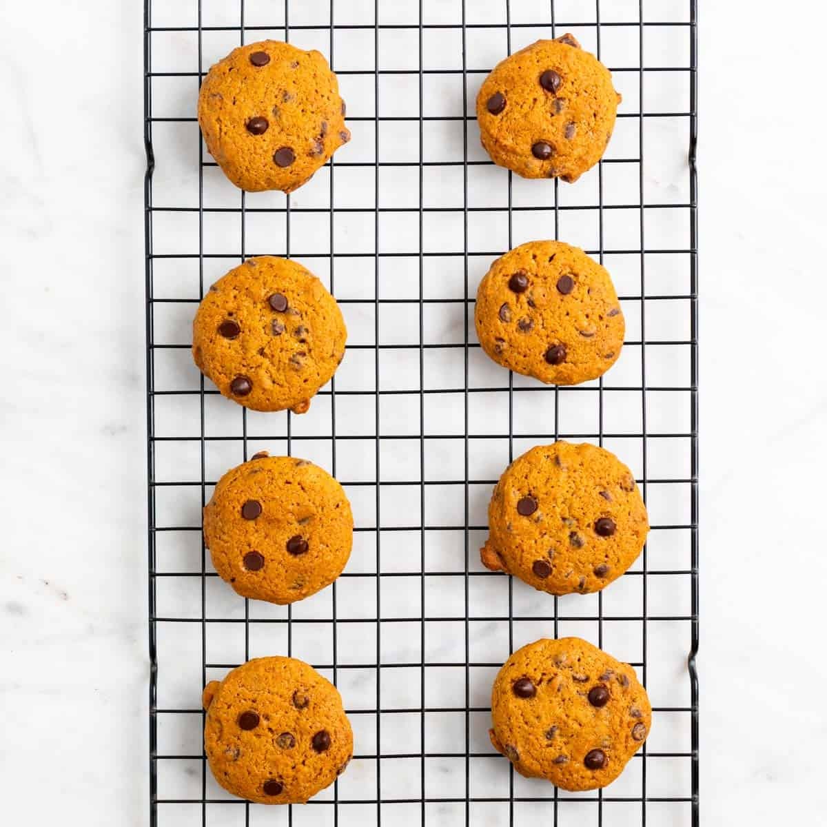 Baked pumpkin chocolate chip cookies cooling on the tray