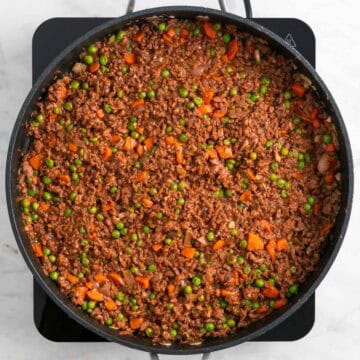 Finished vegan meat filling
